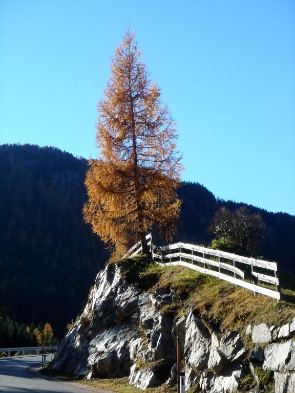 Alpengasthof Zollwirt Sankt Jakob in Defereggen Luaran gambar