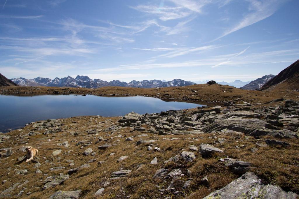 Alpengasthof Zollwirt Sankt Jakob in Defereggen Luaran gambar